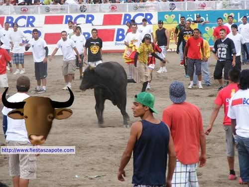 Corrida de toros Fiestas Zapote Corrida de toros en las Fiestas de Zapote