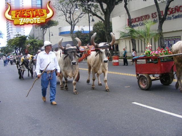 Desfile de Santos y Boyeros 2015
