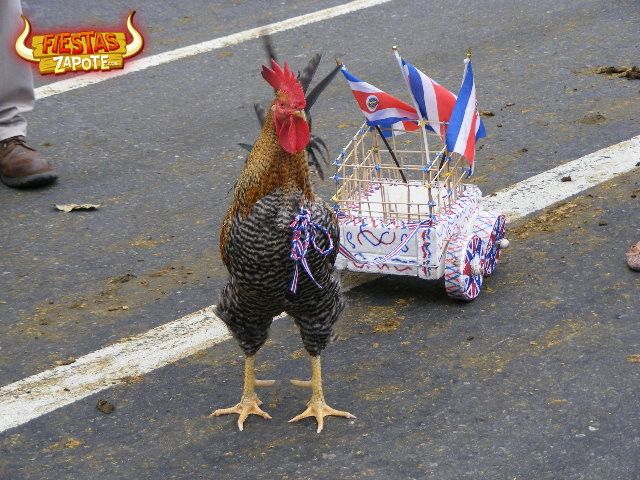 Paquito y su carreta