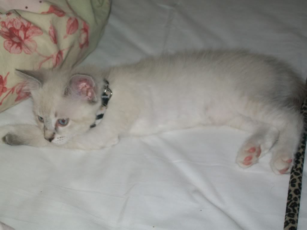 millyphoto.jpg