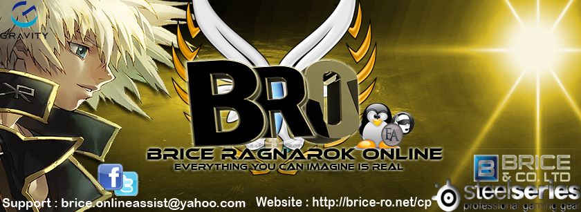 Click here to go to the New BriceRO Website!