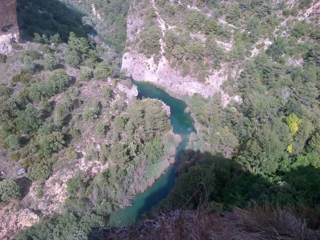 IMG-20120609-00020.jpg