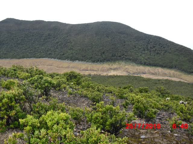 Alun-Alun Surya Kencana Dari Puncak Gede
