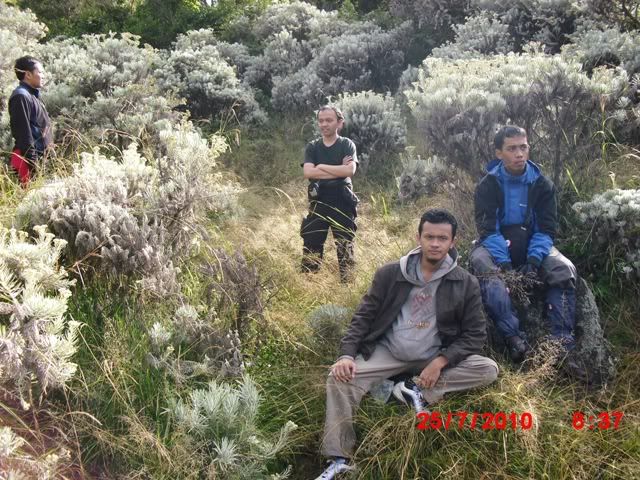 Taman Edelweiss