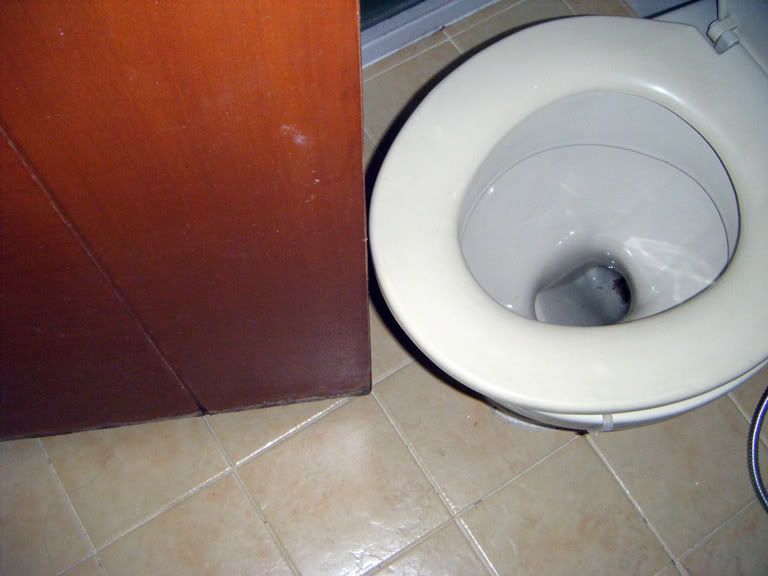 MBRToilet.jpg