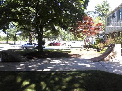 downsized_0703111640.jpg