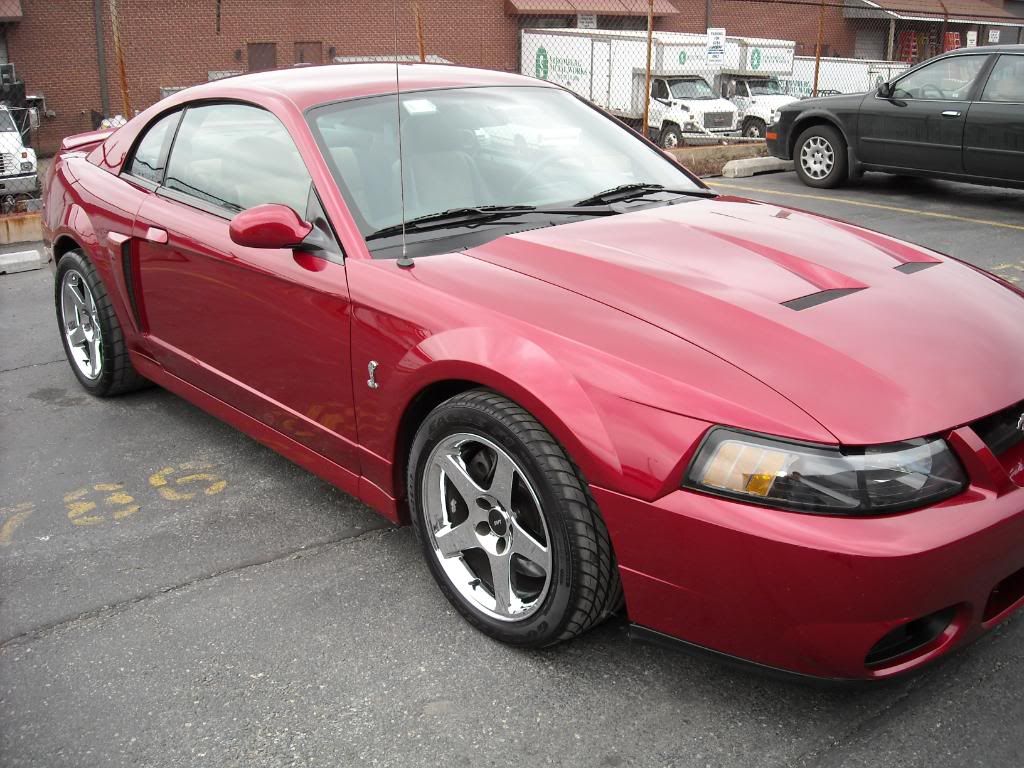 vette184.jpg