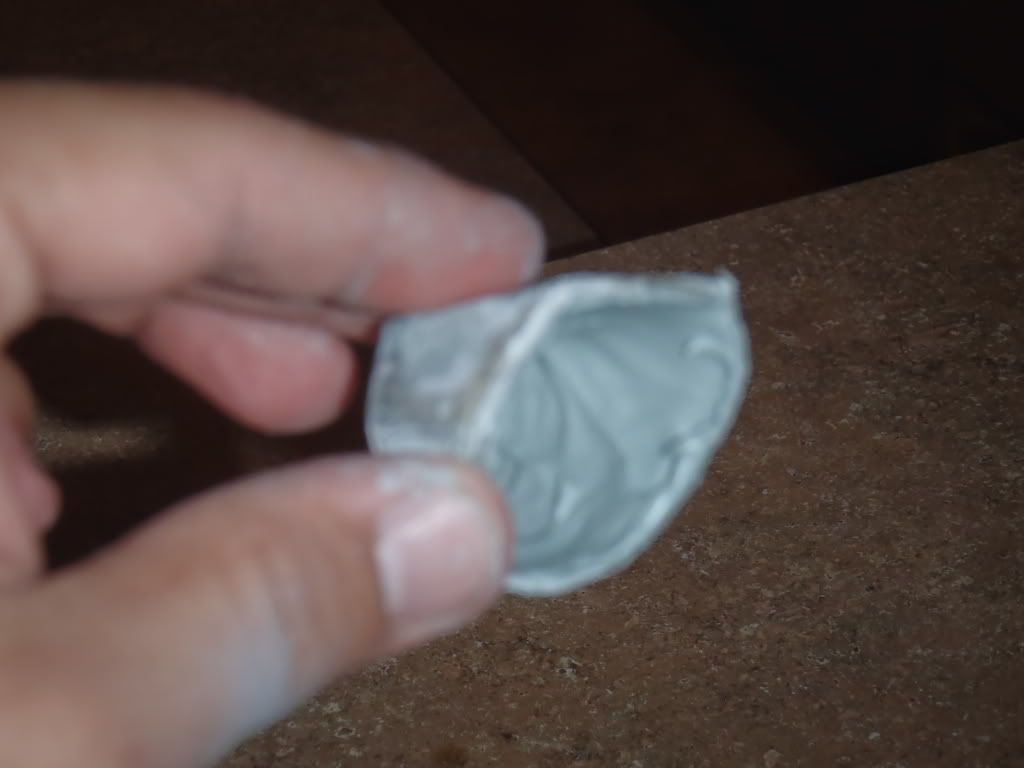 PA020101.jpg