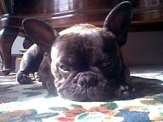 boring :) Pictures, Images and Photos