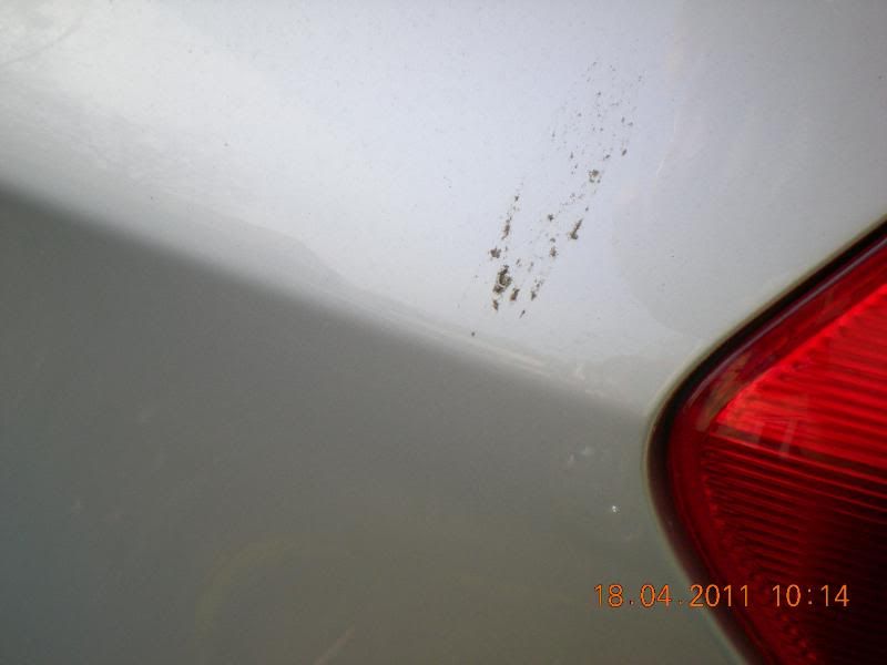 DSCN5090.jpg