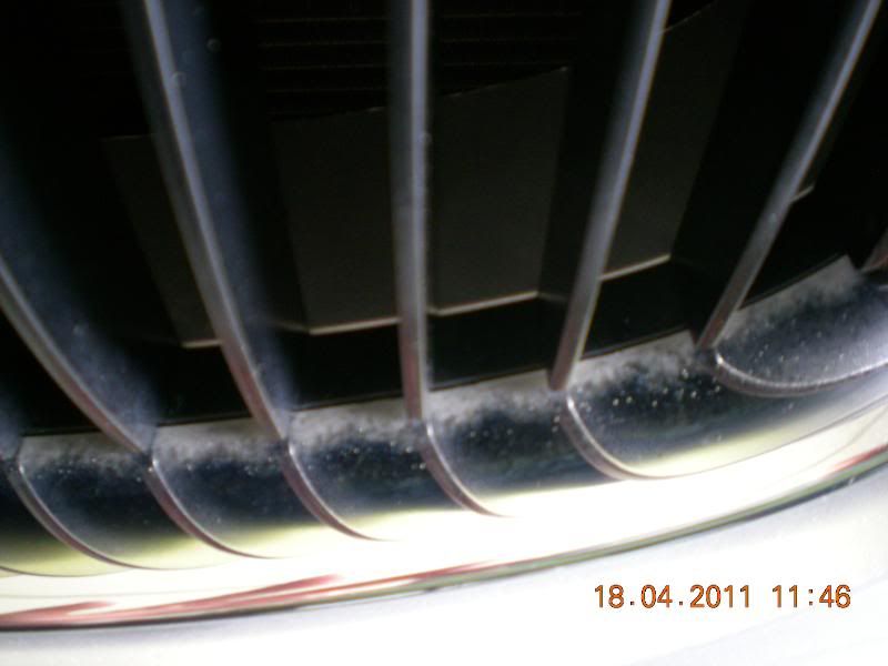 DSCN5100.jpg