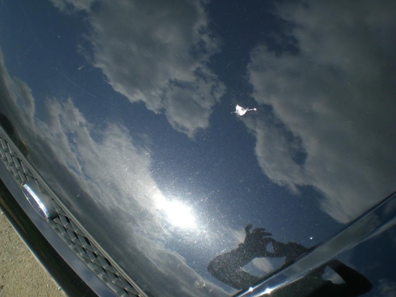 DSCN5419.jpg