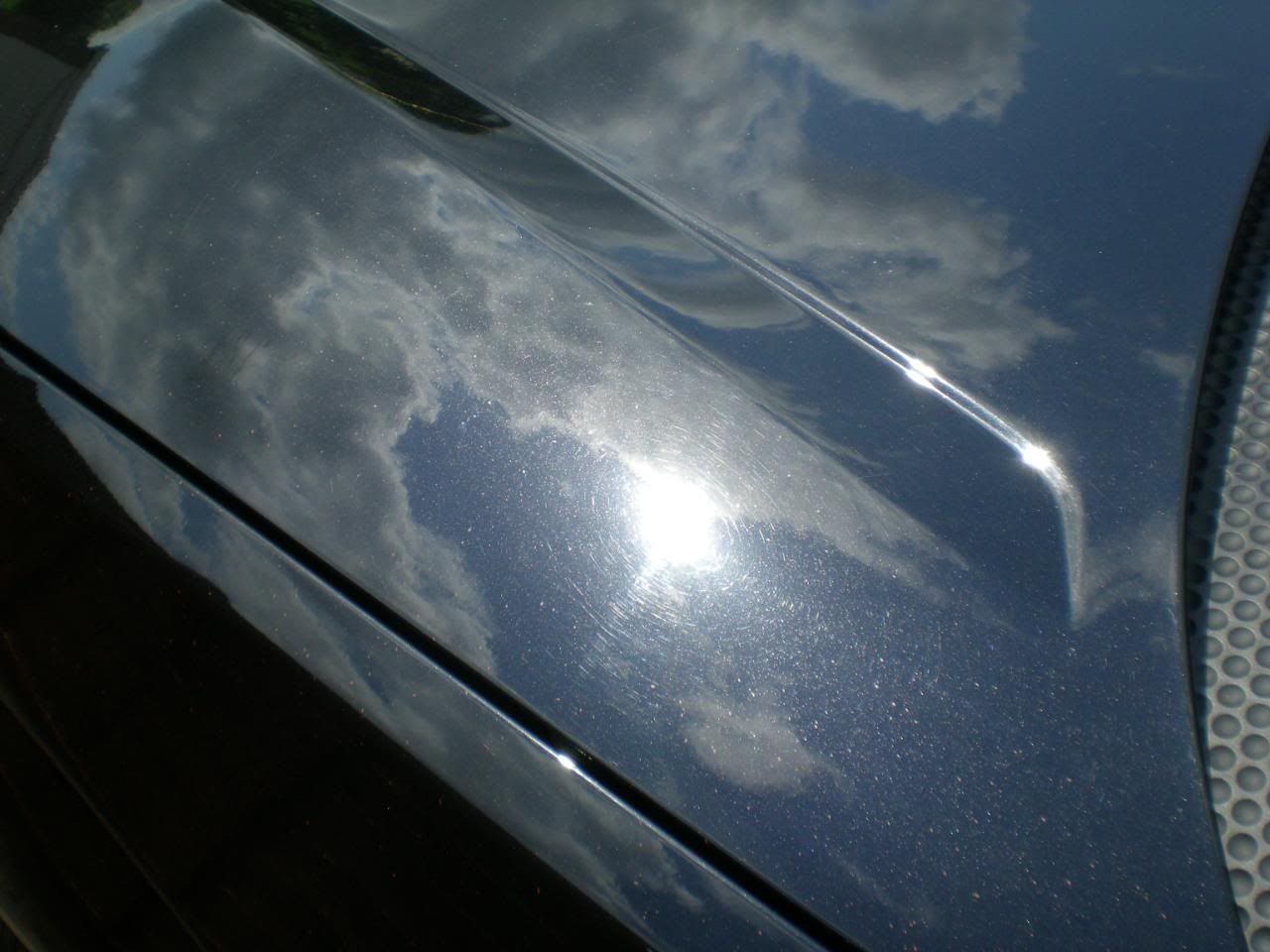 DSCN5420.jpg