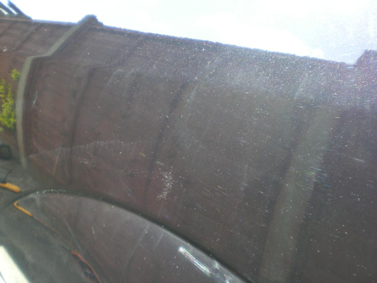 DSCN5425.jpg
