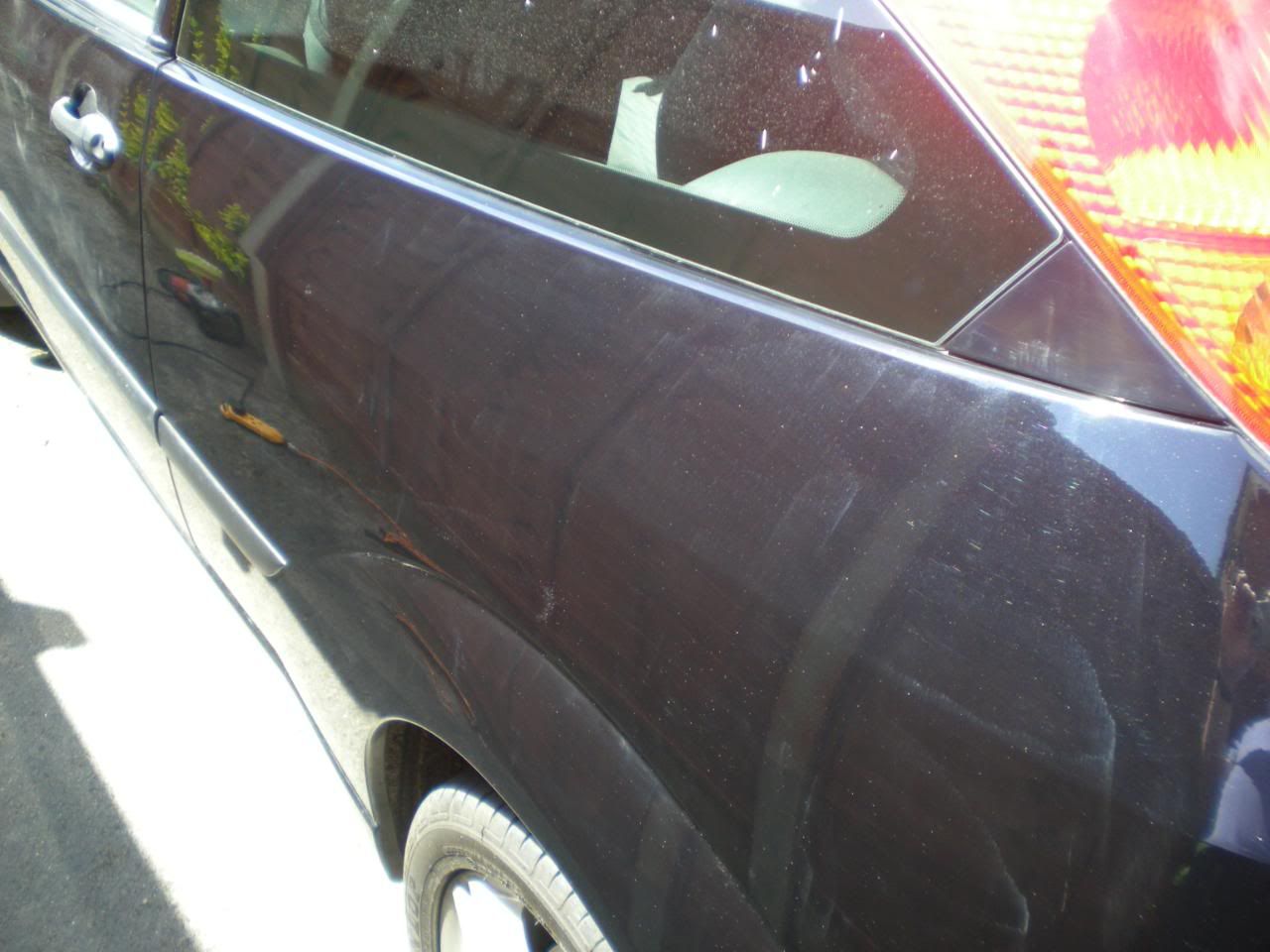 DSCN5426.jpg