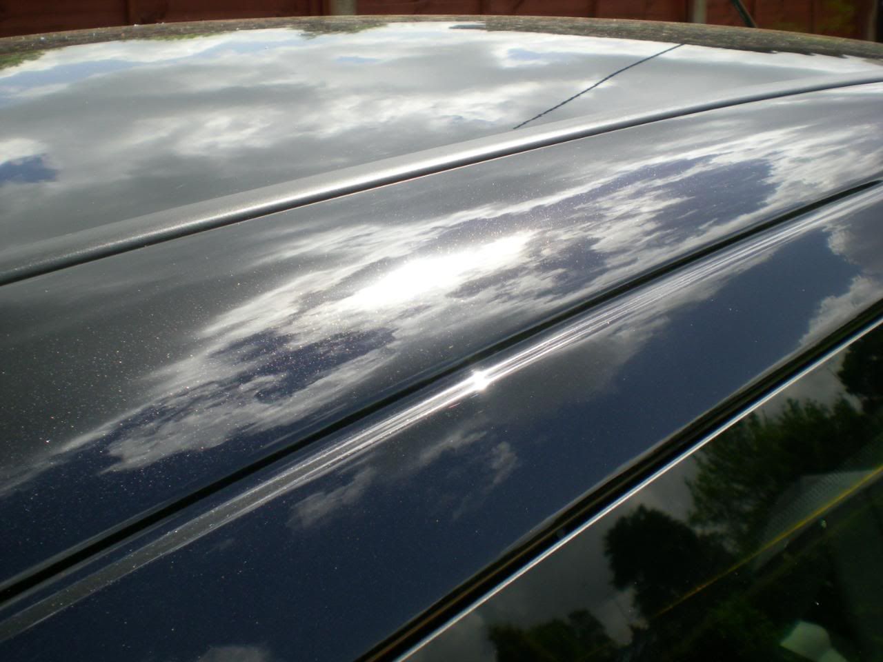DSCN5431.jpg
