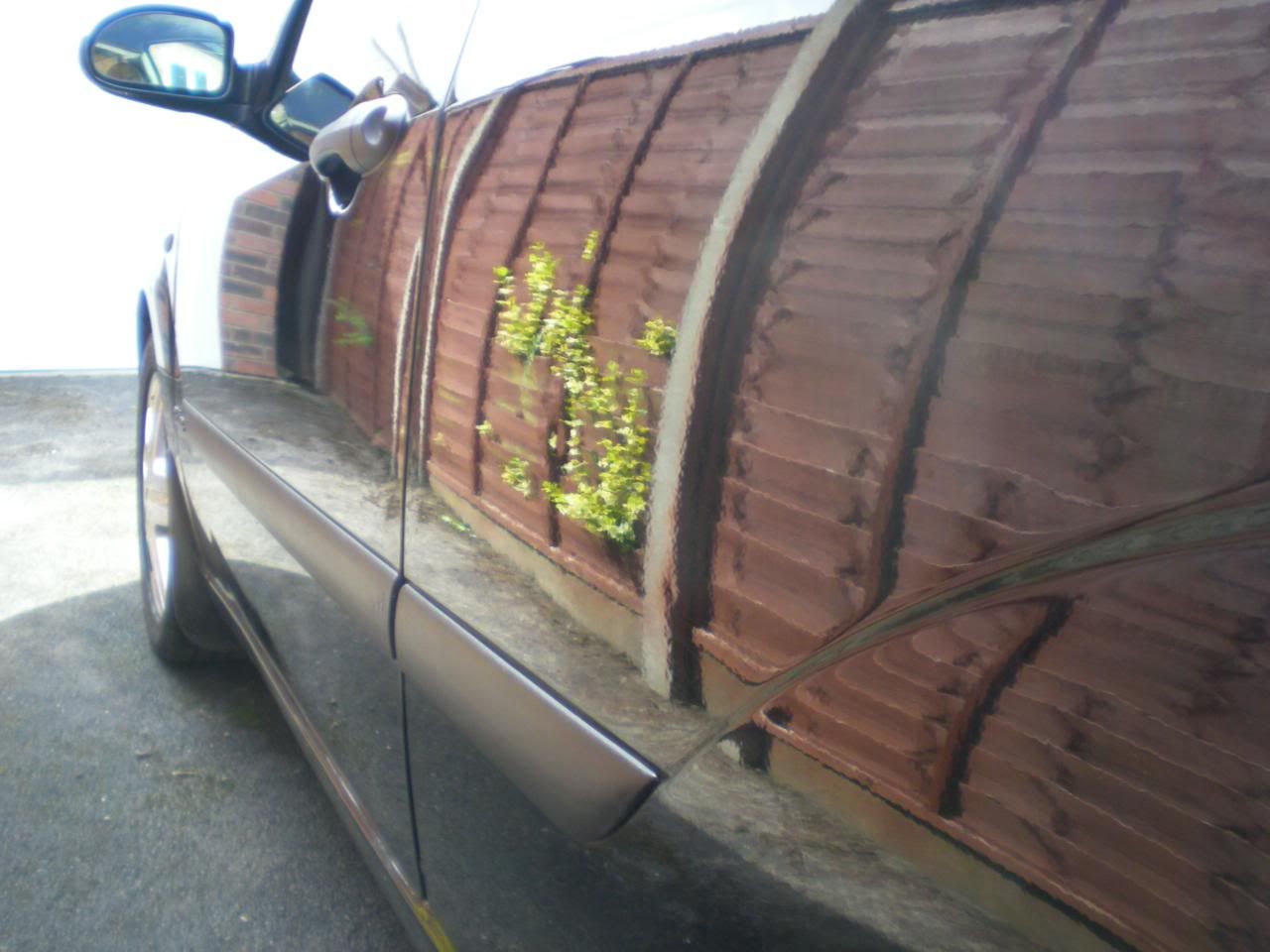 DSCN5446.jpg