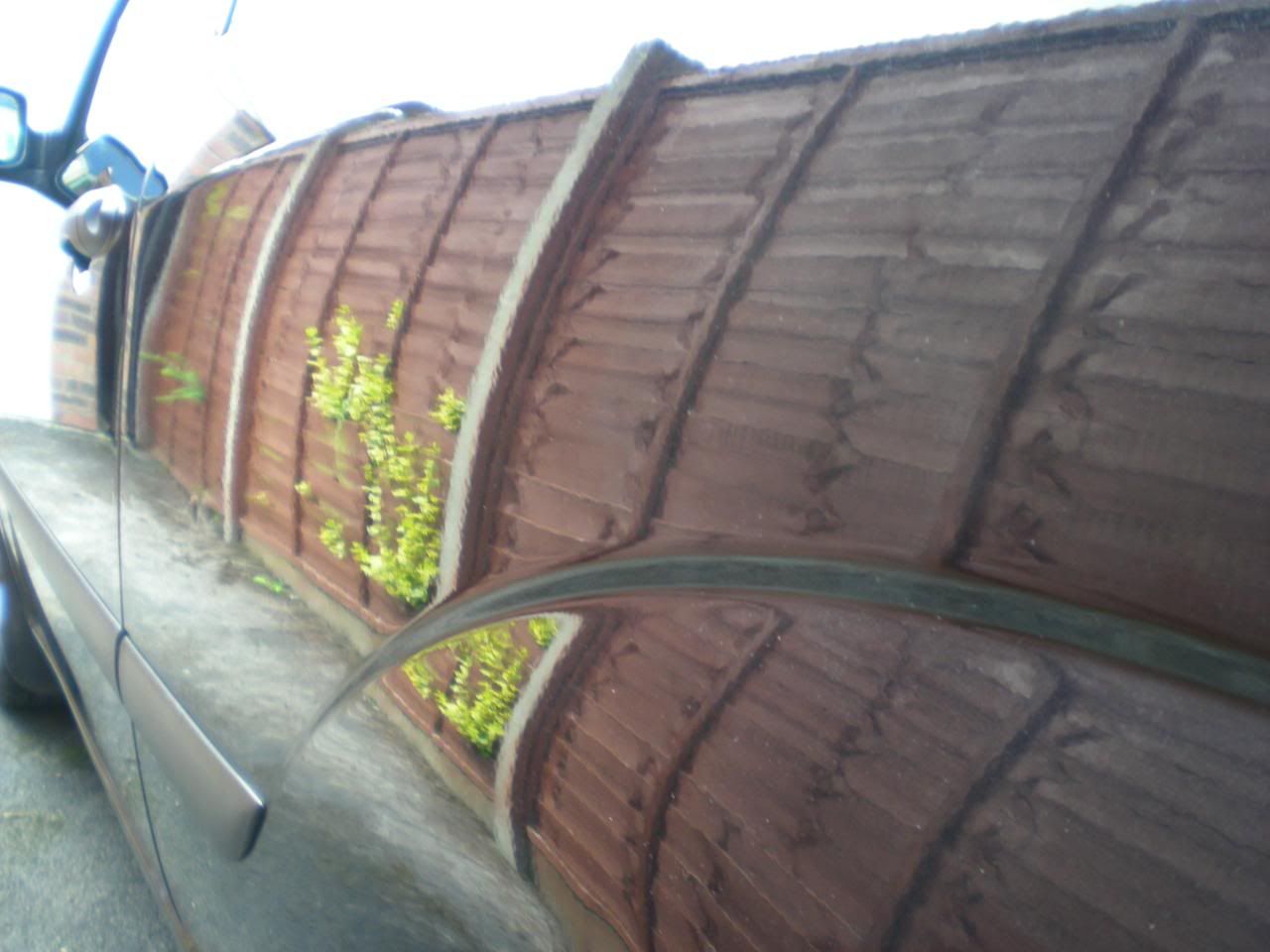 DSCN5447.jpg