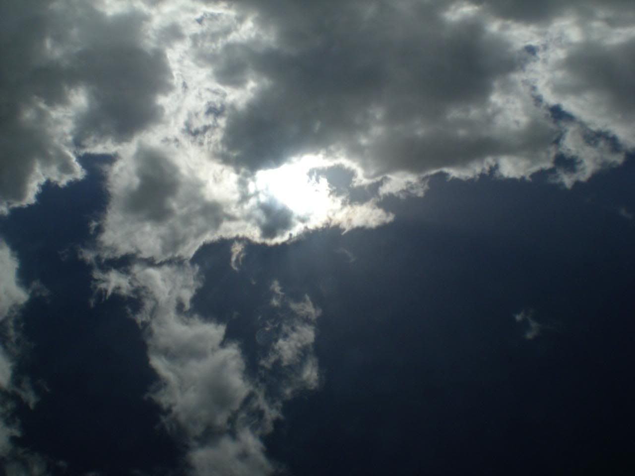 DSCN5450.jpg