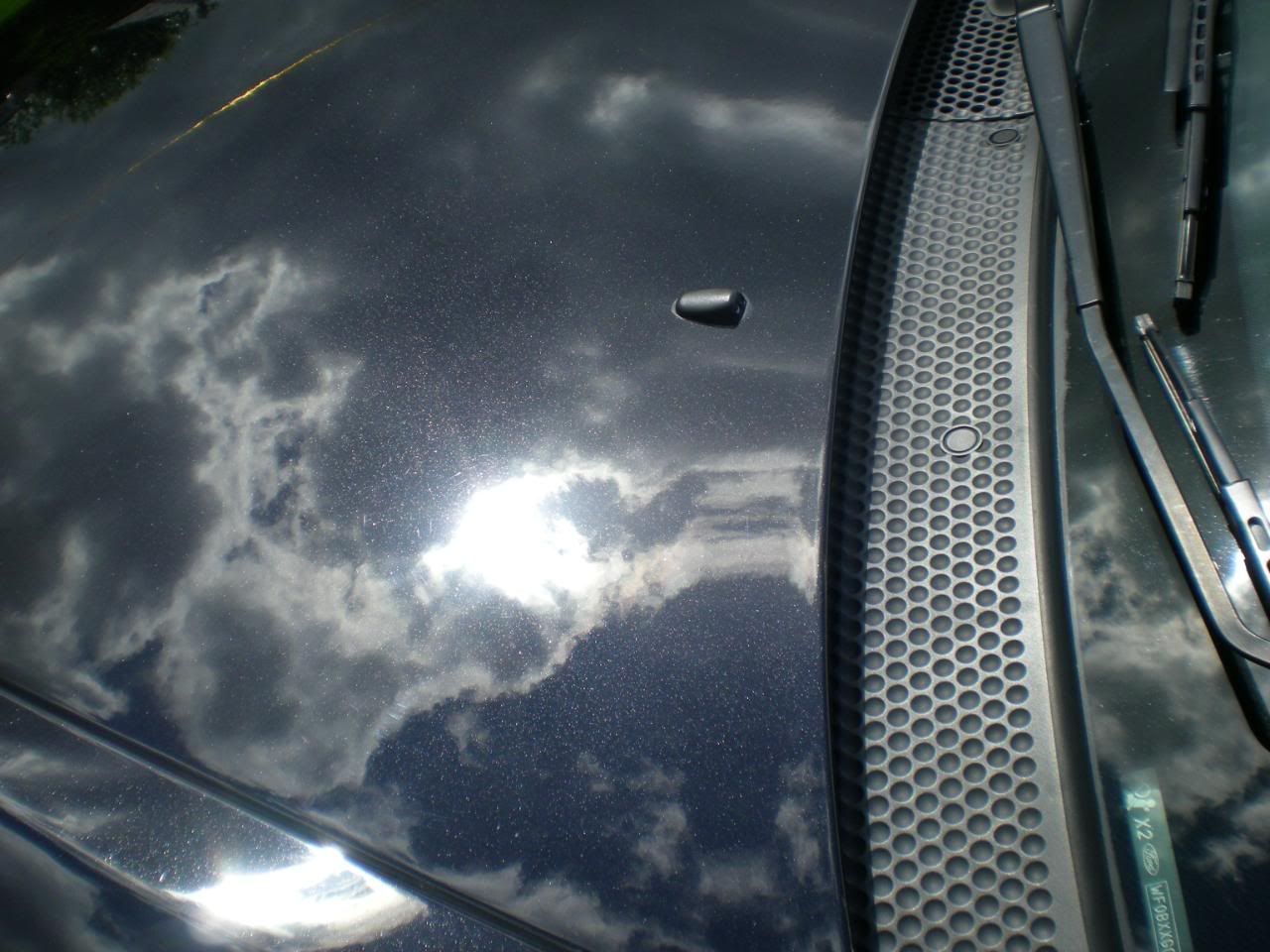 DSCN5451.jpg