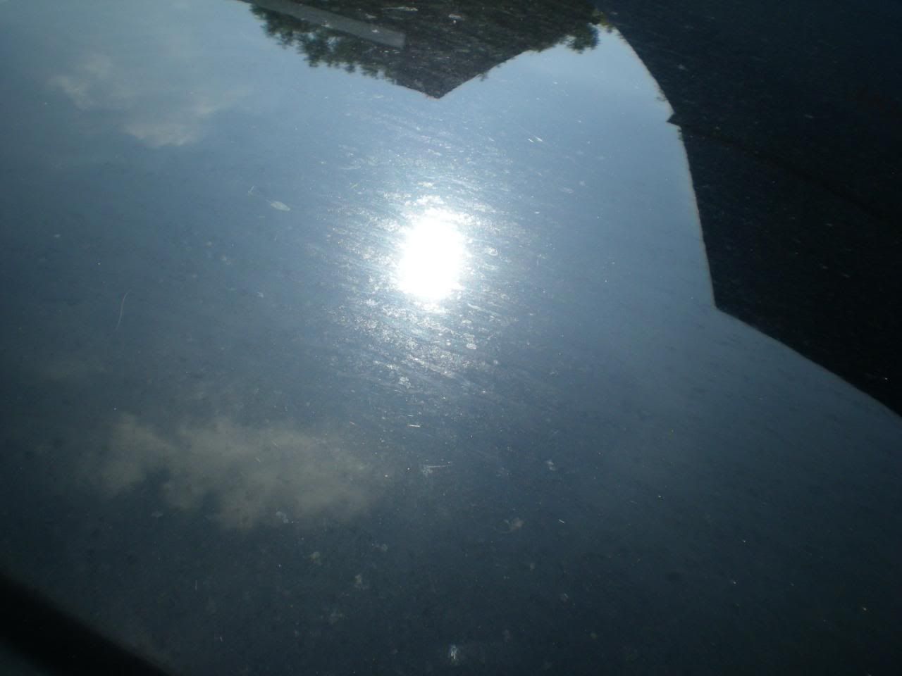 DSCN5663.jpg