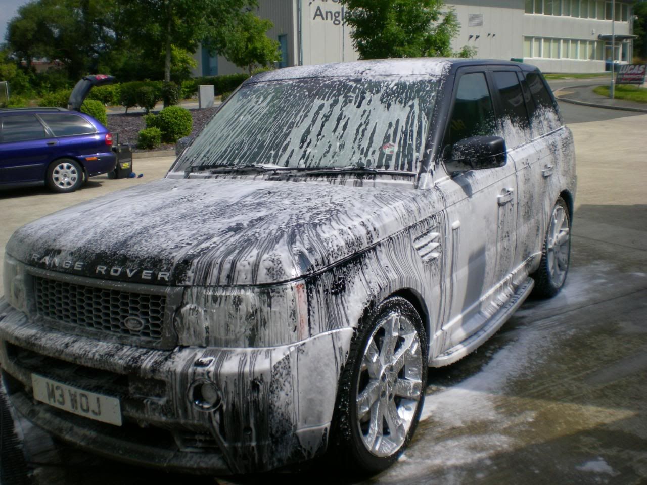 DSCN5667.jpg