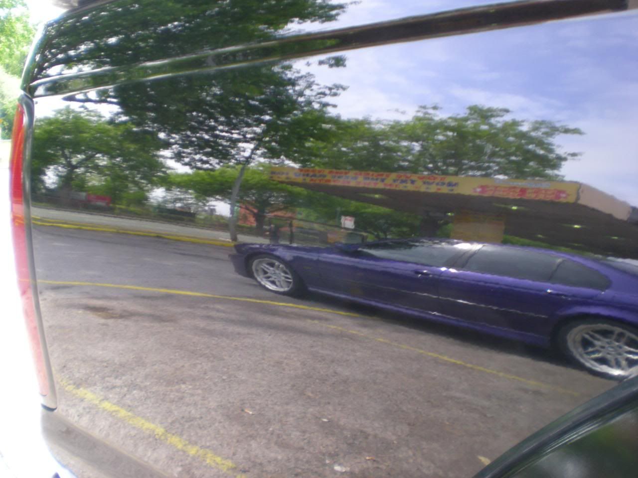 DSCN5463.jpg