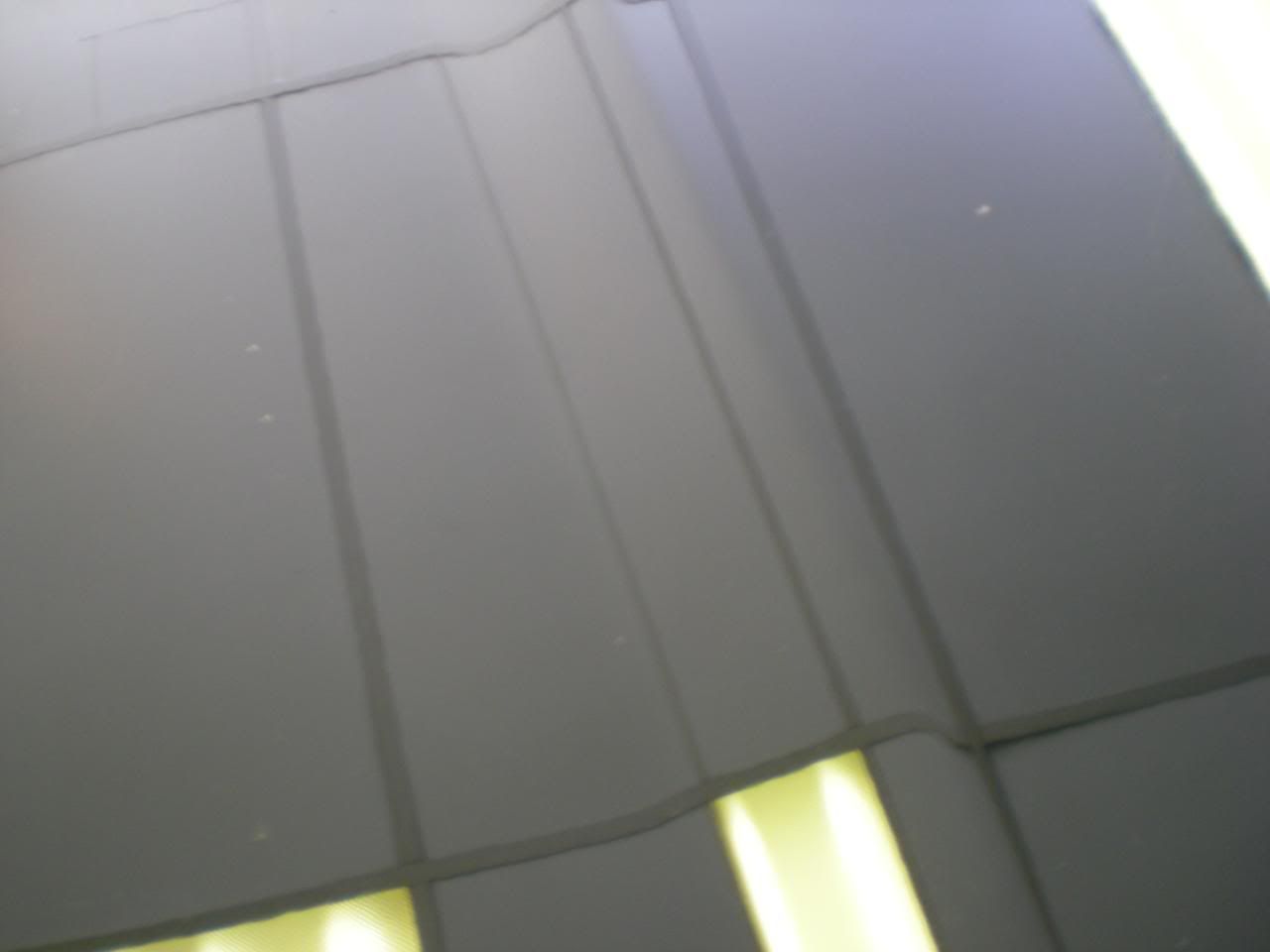 DSCN5482.jpg