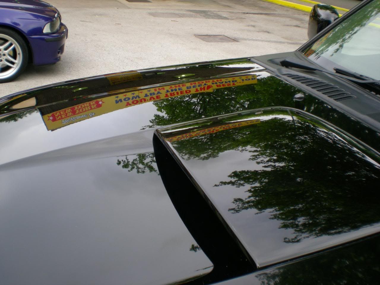 DSCN5485.jpg