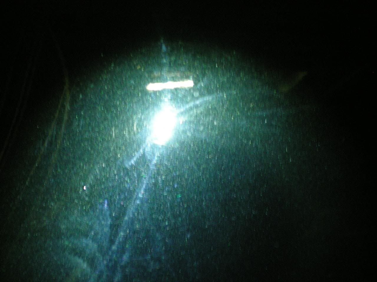 DSCN5729.jpg