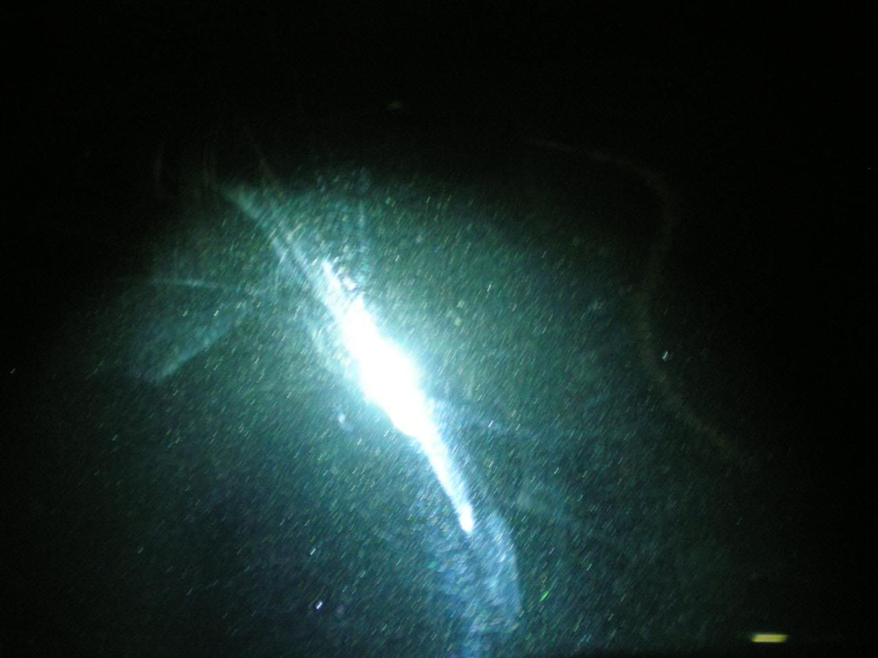DSCN5730.jpg