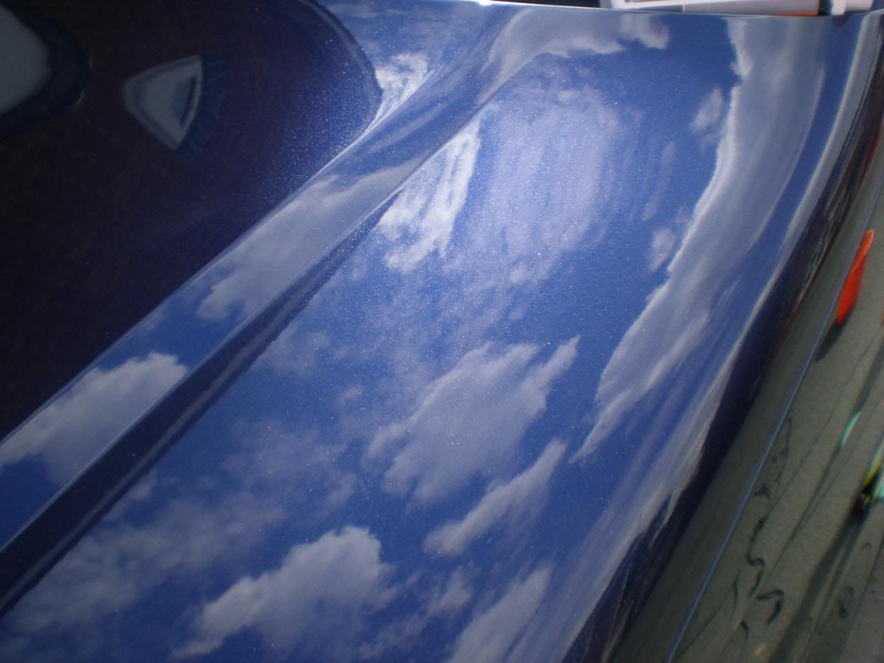 DSCN5599.jpg