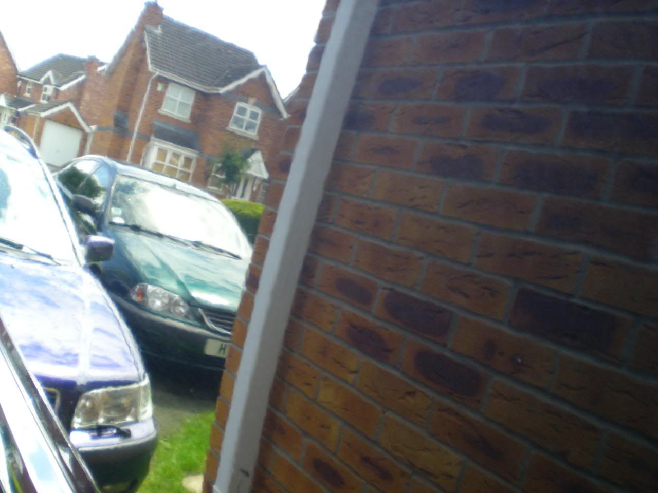 DSCN5613.jpg