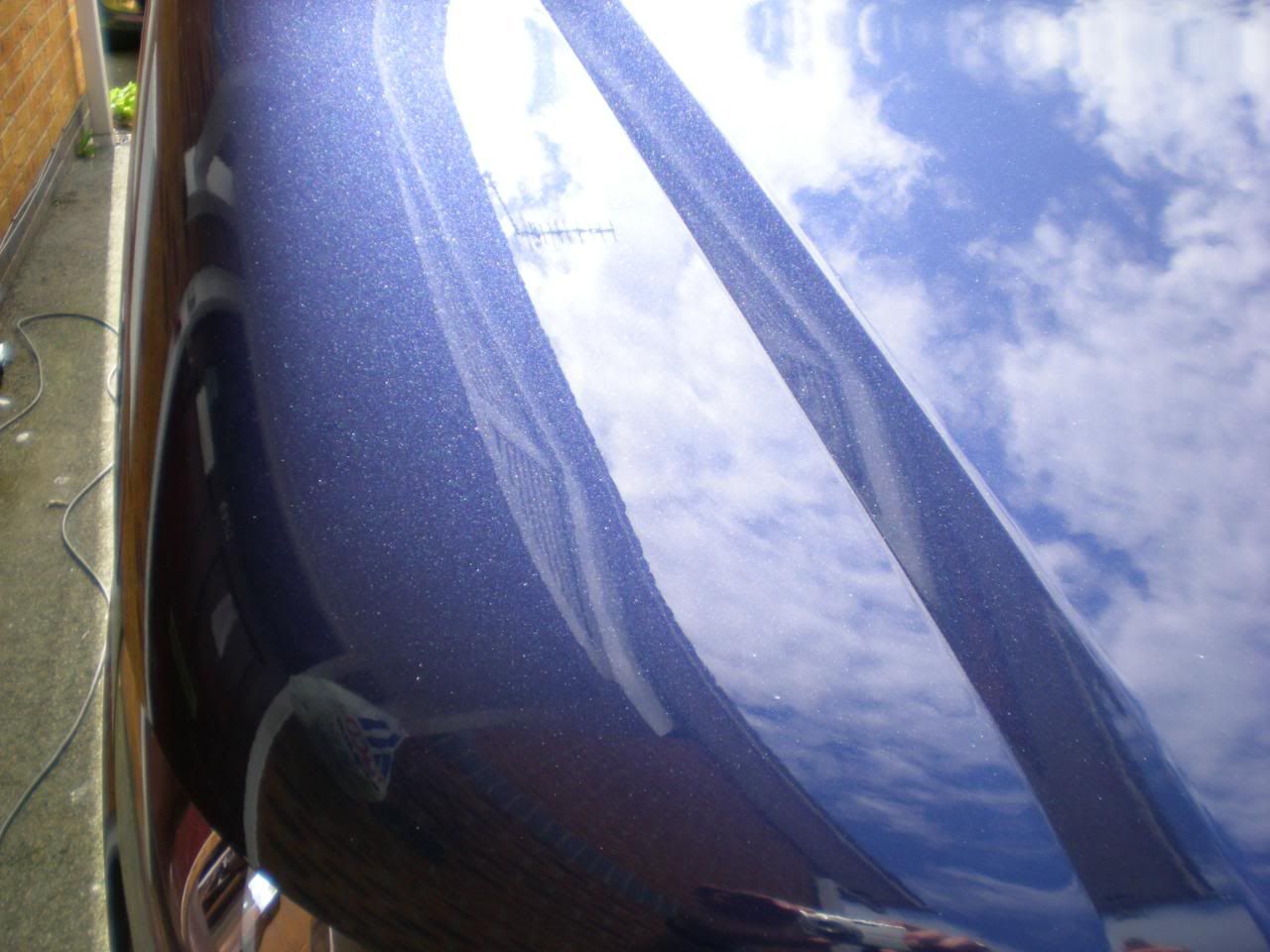 DSCN5619.jpg