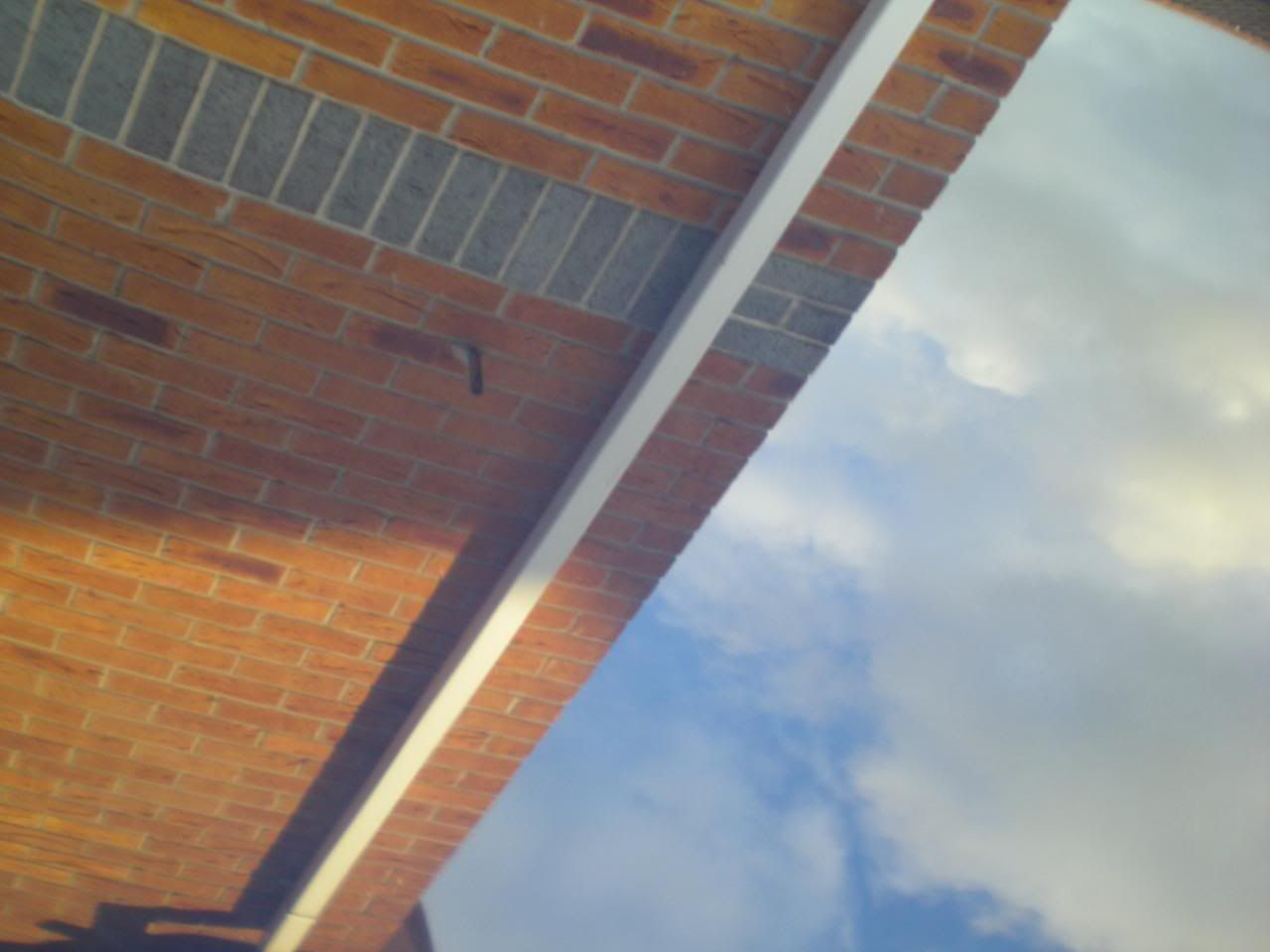 DSCN5646.jpg