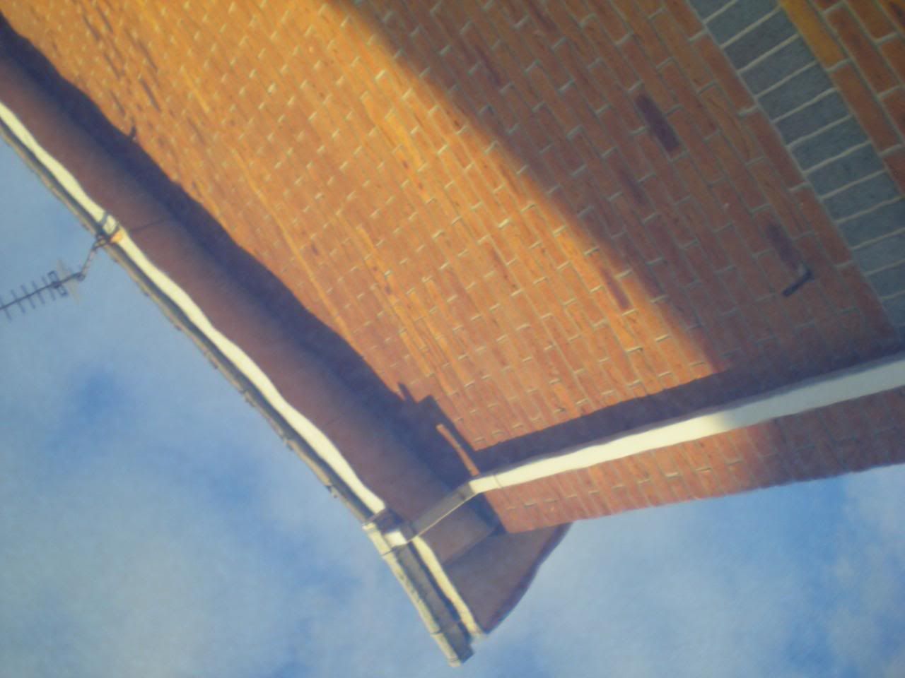DSCN5648.jpg