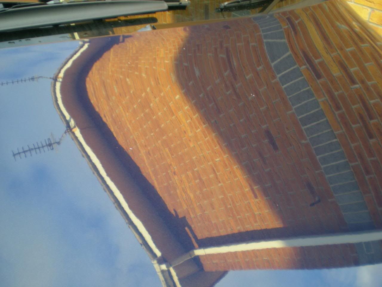 DSCN5649.jpg