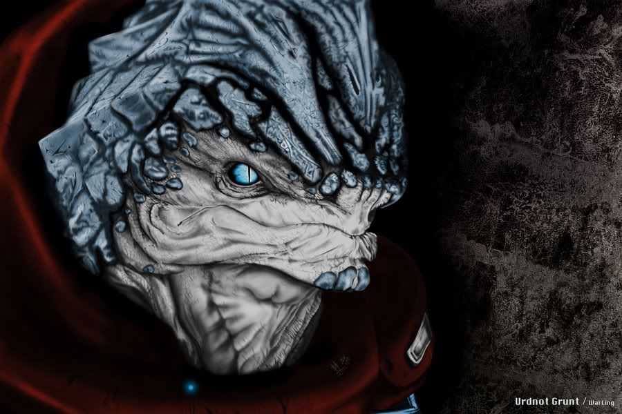 Размещенное изображение