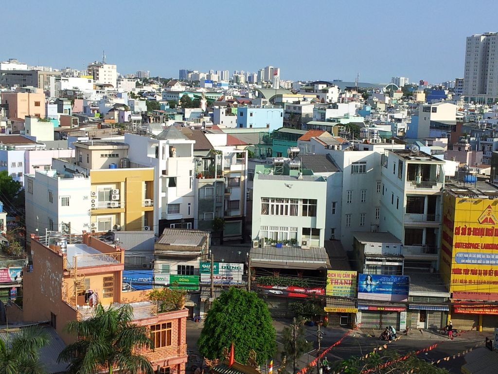 Cho em hỏi hoa này là hoa gì. - 4