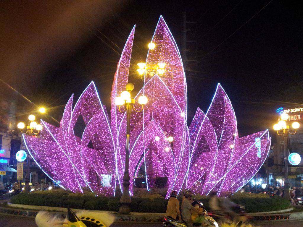 Cho em hỏi hoa này là hoa gì. - 5