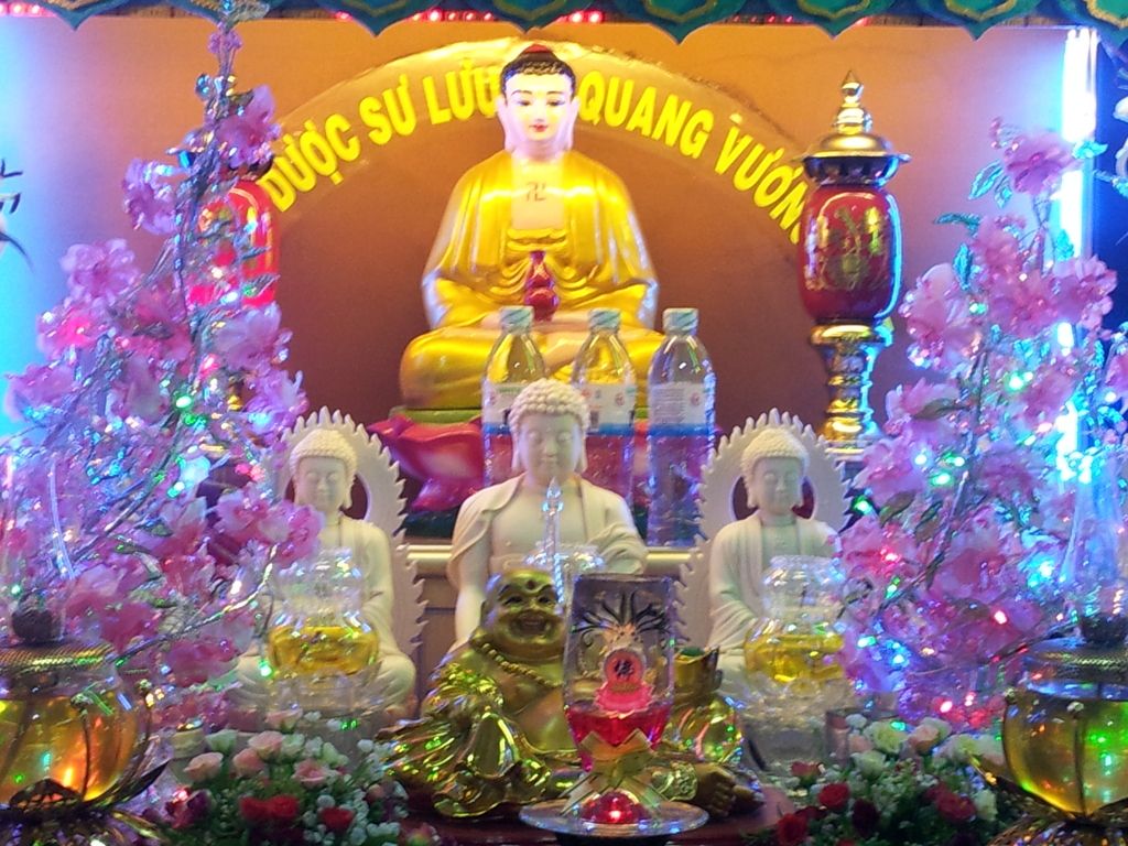 Cho em hỏi hoa này là hoa gì. - 3