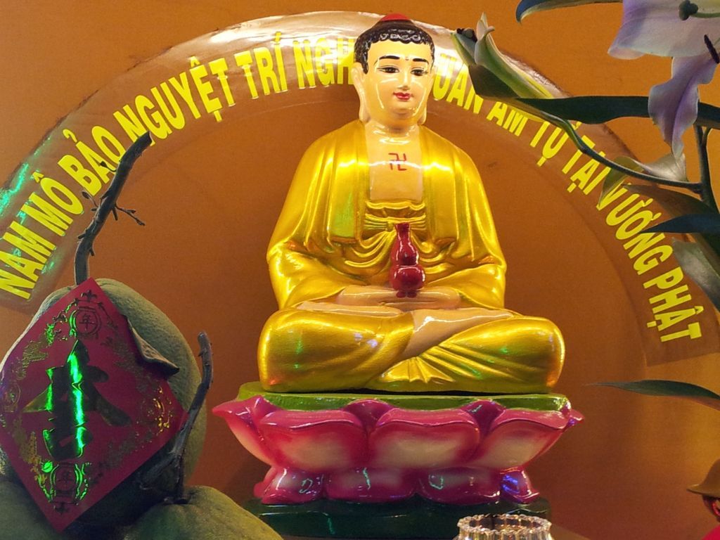 Cho em hỏi hoa này là hoa gì. - 1