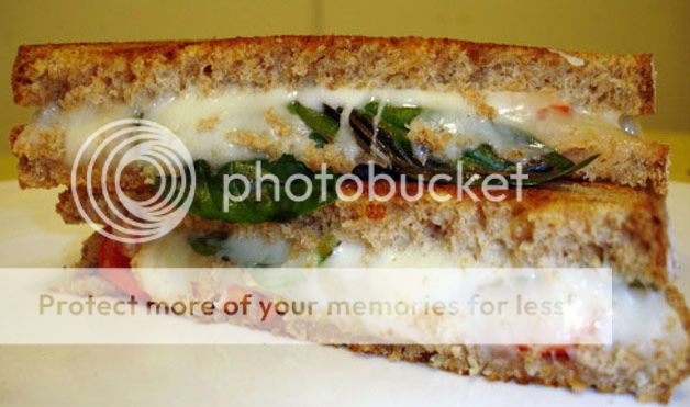 http://i914.photobucket.com/albums/ac347/foodrecipes360/FoodRecipes360/Food%20Recipes%20360%20%20Pics/AwesomeGrilledCheeseSandwiches_zps545fb5c5.jpg